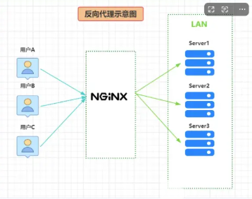 反向代理示意图